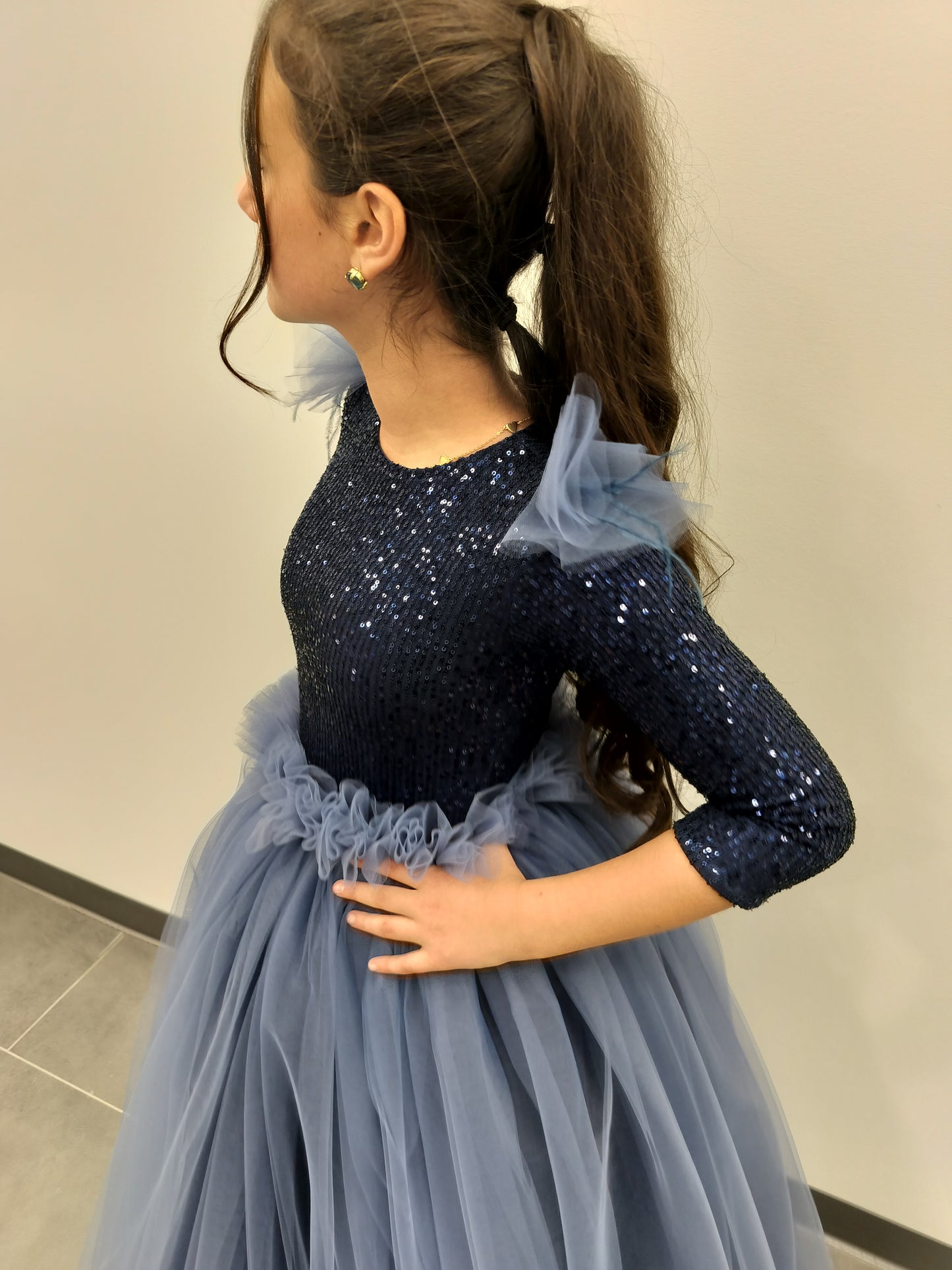 Navy and dusty blue sequins Gown